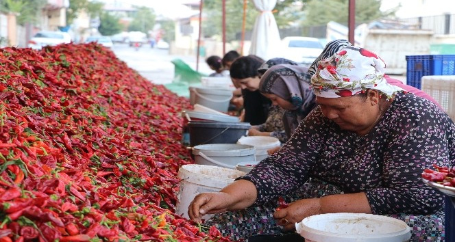 Kadınların 'en acı' mesaisi